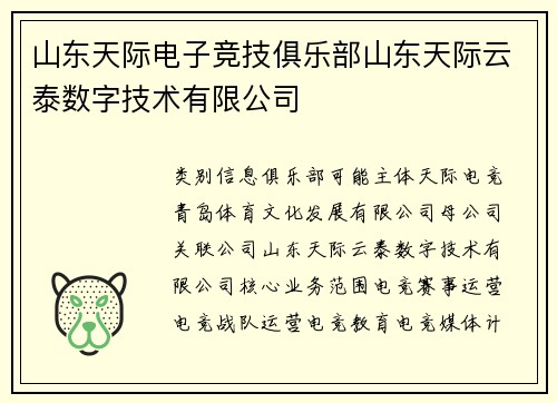 山东天际电子竞技俱乐部山东天际云泰数字技术有限公司